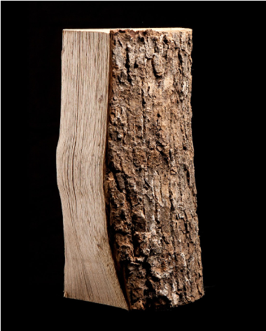 Sušený jasan – půl palety – 25 cm